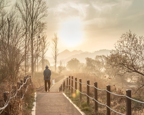 A quiet park path with trees in the morning